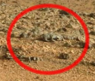 Seorang blogger menemukan Creature di permukaan planet Mars