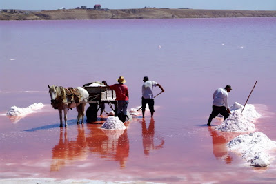 8 Danau Berwarna Pink