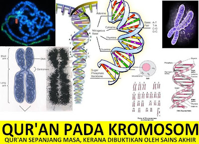 DALAM DNA SAMPAH (JUNK DNA) TERDAPAT AYAT QURAN