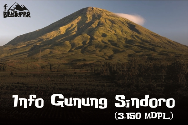 Info Gunung Sindoro 3.150 mdpl