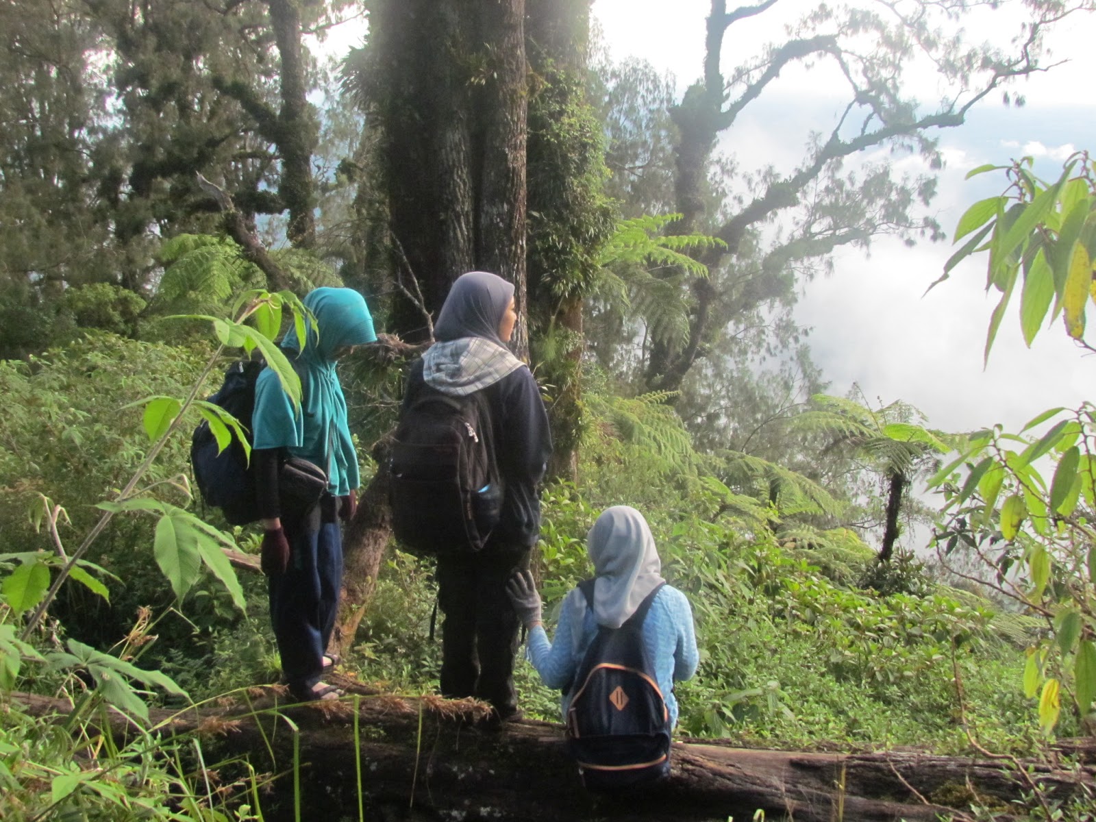 Gn. Abang (2152 mdpl) 23 Juni 2013