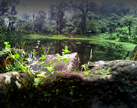 &#91;CoC Regional: Lokasi Wisata&#93; Hiking ke Telaga Pucung Menggala Karang Tengah