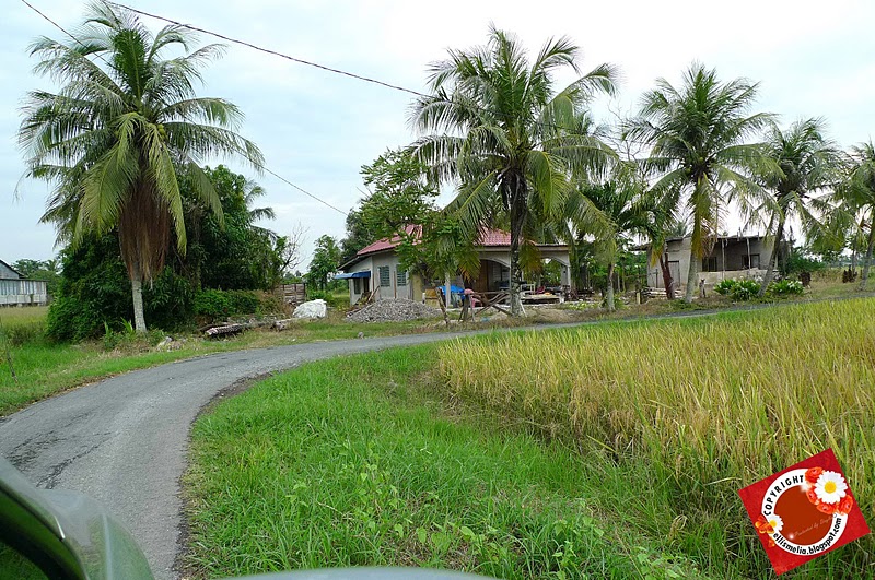 KAMPUNG TANPA HALAMAN