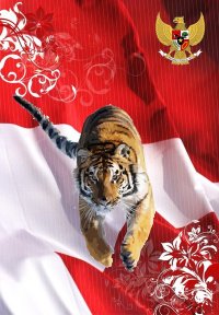 16 Julukan Yang Diberikan Dunia Untuk Indonesia