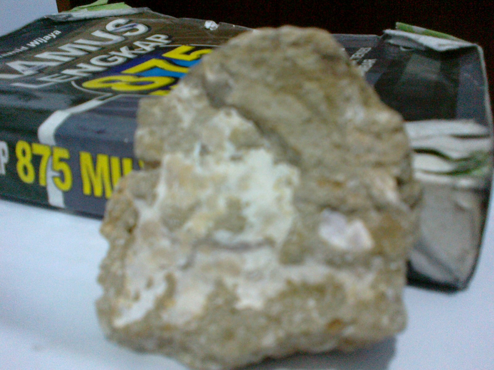 Hasil temuan Fosil - fosil ane ... : )