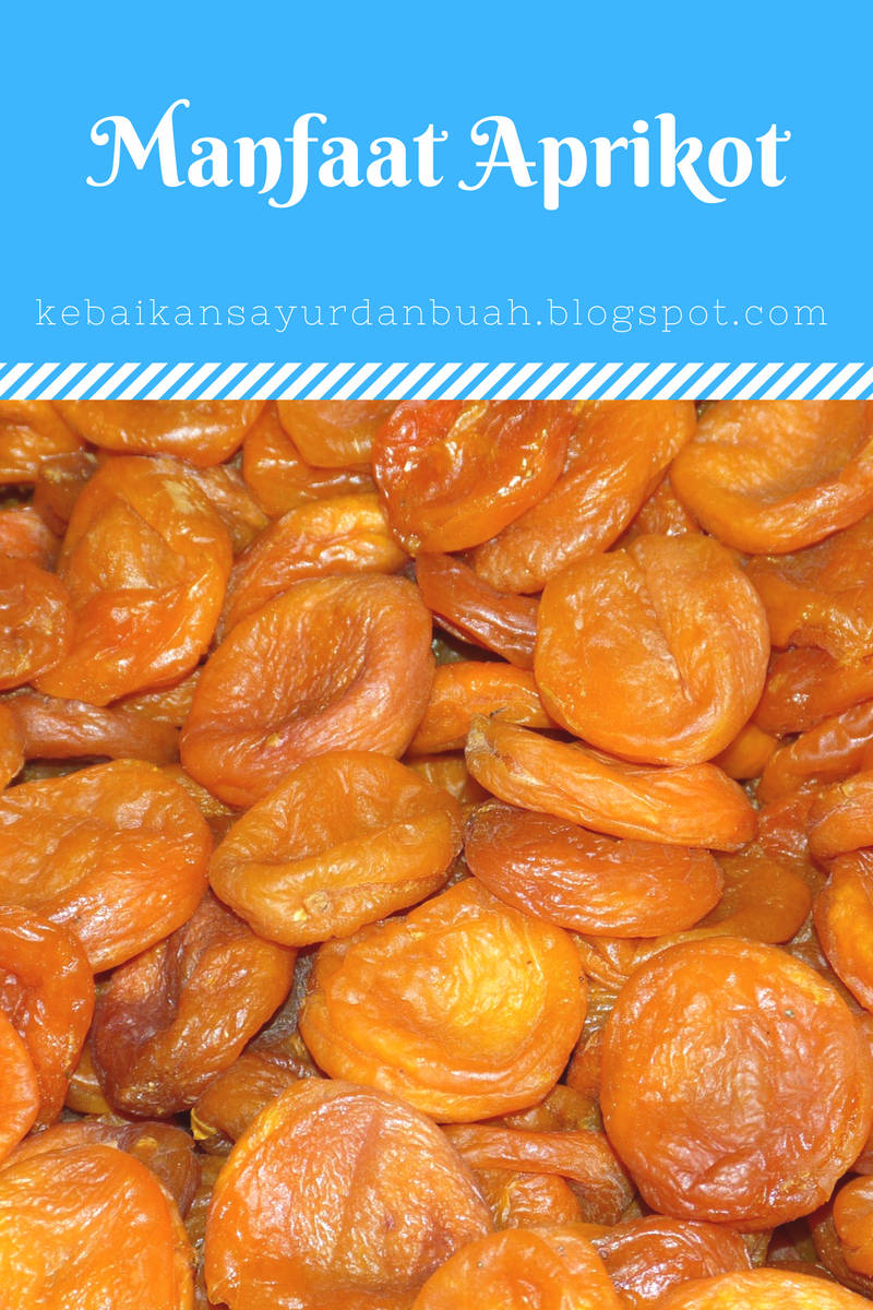 16 Manfaat buah aprikot