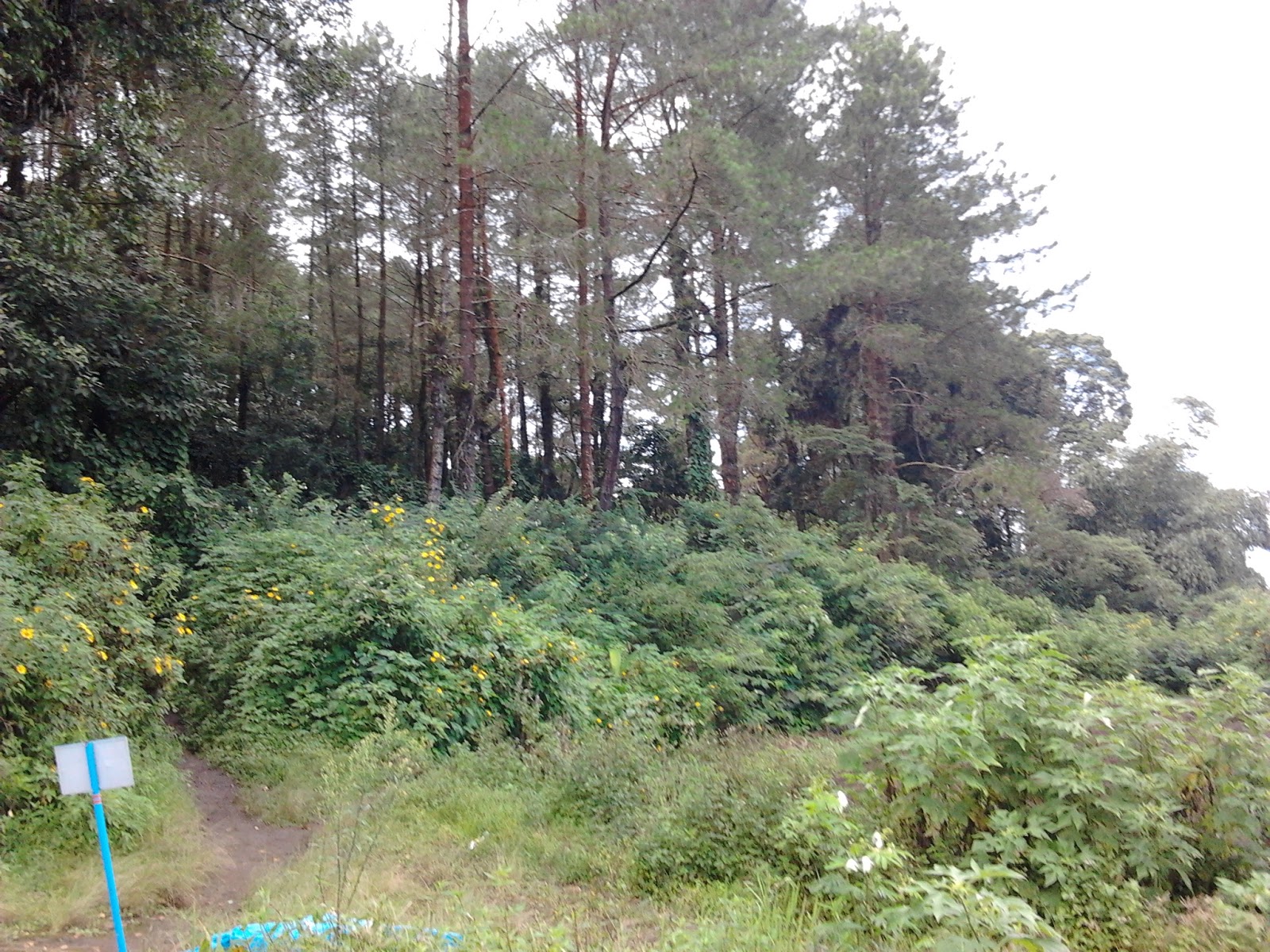 perjalanan menuju puncak Gn. Marapi (Sumatera Barat)