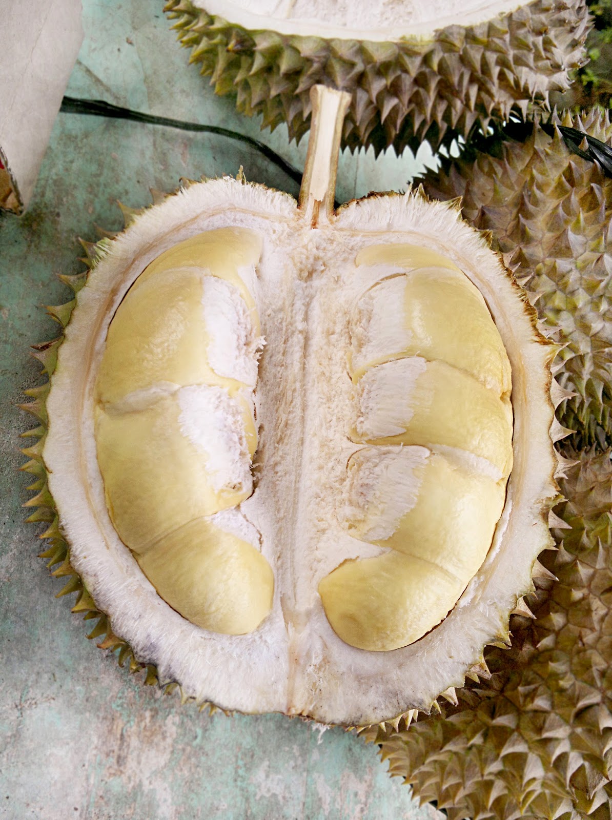 Festival Duren Dirun