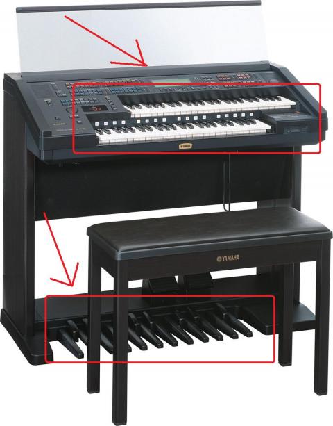 Inilah Perbedaan Piano, Organ, dan Keyboard