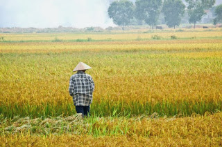 Berwisata dan Backpacker ke Luar Negeri lebih asyik dengan WithLocals