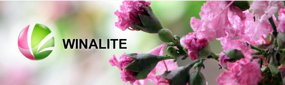 Bisnis online dijamin bukan money game!!