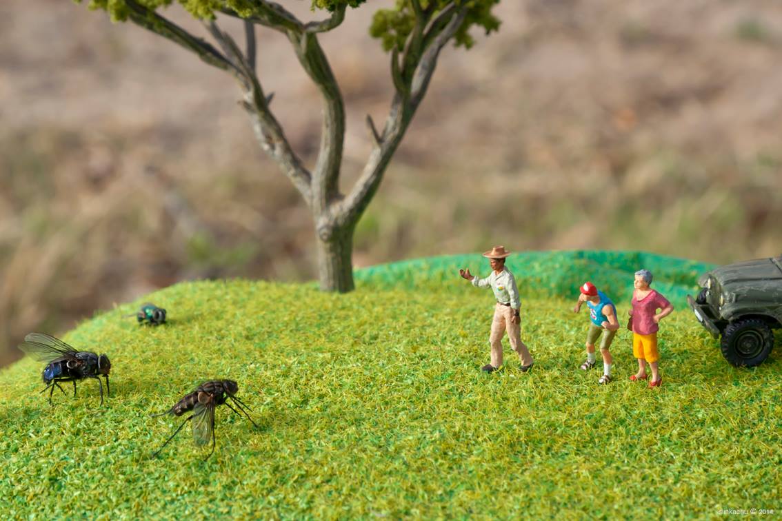 Slinkachu, Orang Kecil Di Dunia Yang Besar