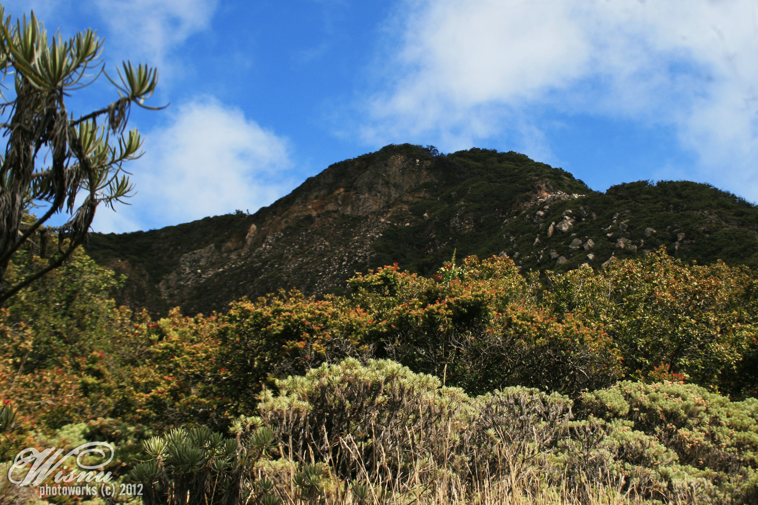 7 Puncak Gunung Tertinggi di Jawa Timur (7 Summits In East Java)