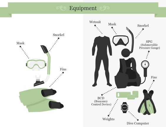 Suka Diving atau Snorkelling ? Yuk Kenali Perbedaannya