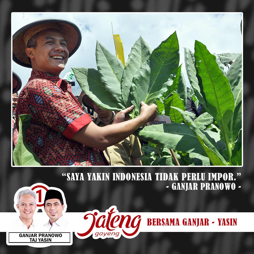 Ganjar : "Tembakau Indonesia Bagus , Saya Yakin Tidak Perlu Impor"