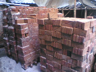 4267288098099661728809809643-aktivis-regional---tunjukkan-aksimu-4267288098099661728809809643