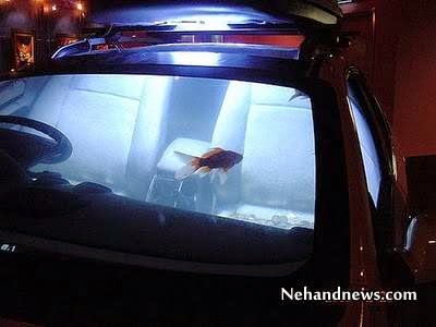 Aquarium Unik yang Terbuat dari Mobil Mewah 