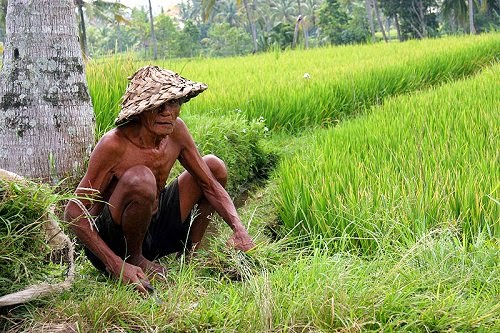 Doa Untuk Para Sarjana