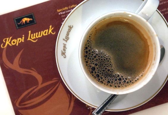 Trik&amp;Tips; mengetahui &quot;Kopi Lwak Asli&quot;.&#91;Biar g Ketipu&#93;