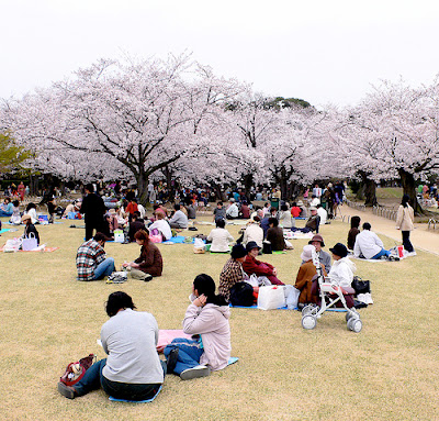 TERNYATA ORANG JEPANG SANGAT SULIT BELAJAR BAHASA ASING