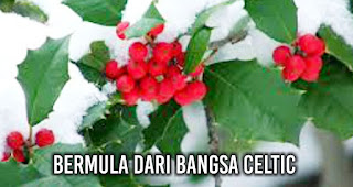 Menarik! Ini Makna di Balik Warna-Warna Khas Natal