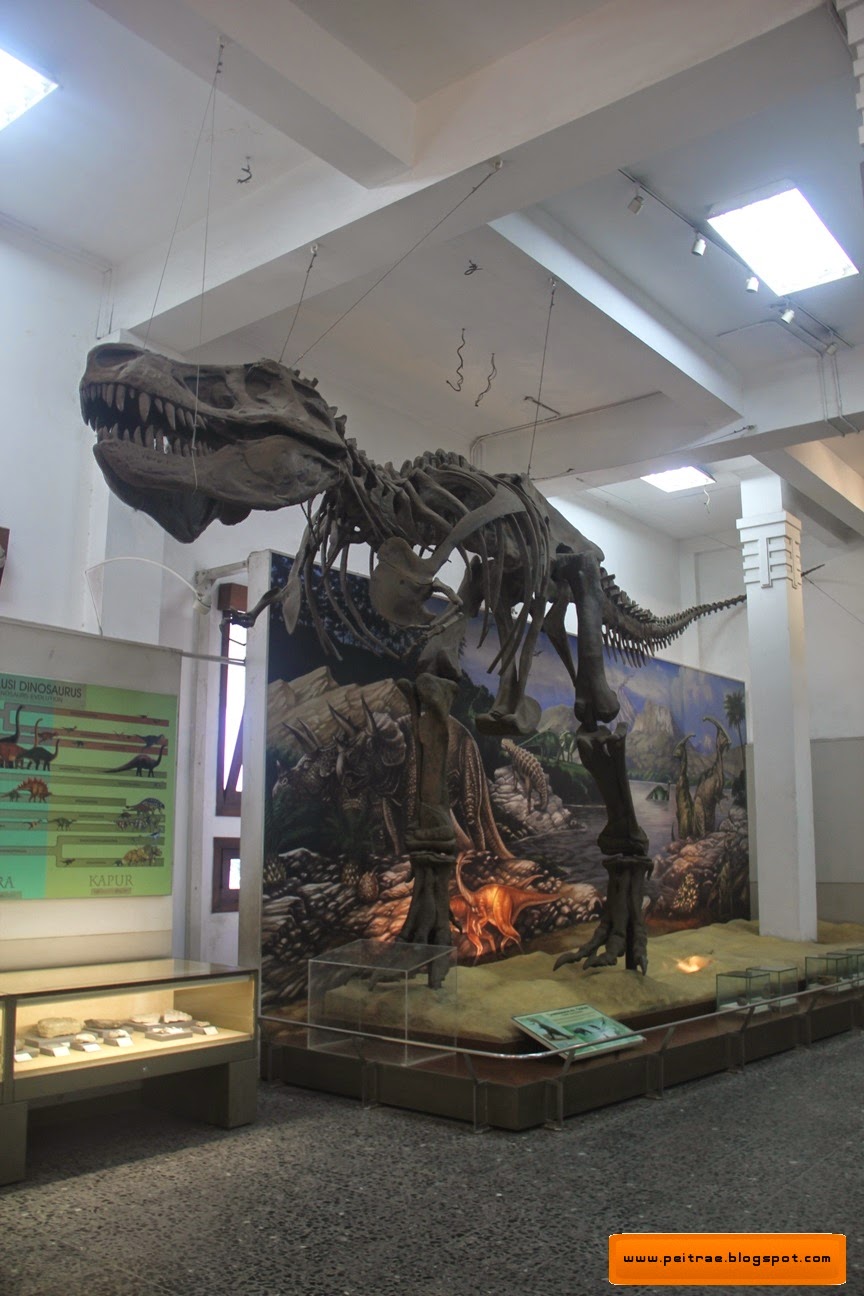 Melirik Koleksi Museum Geologi,Bandung