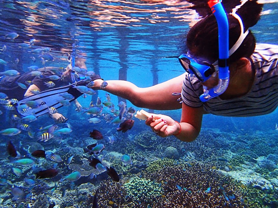 BACKPACKER KE RAJA AMPAT? WHY NOT