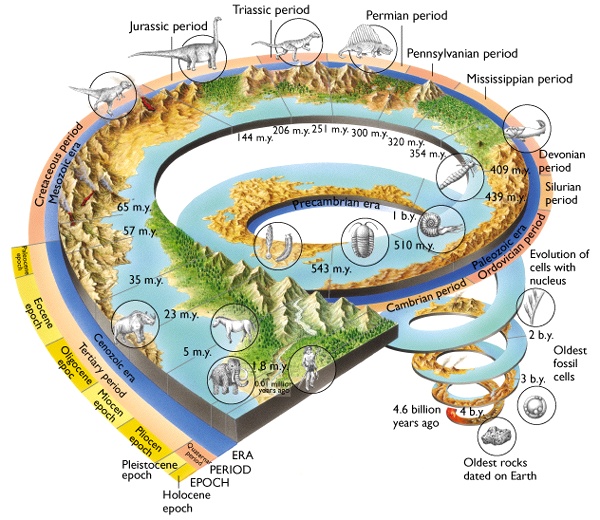 UMUR BUMI: 540000000 tahun (Sejarah kehidupan di bumi)