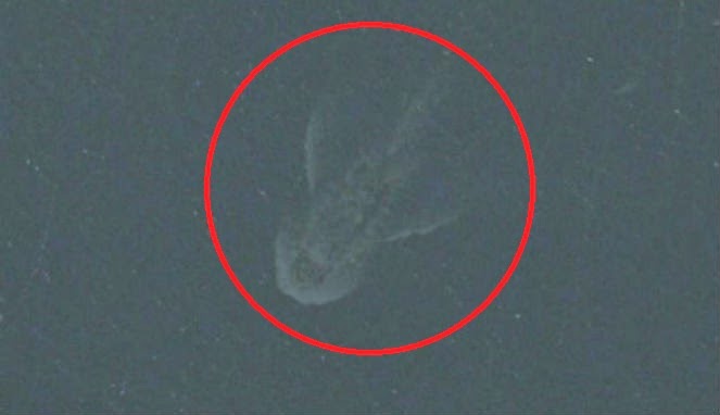 MISTERI NESSIE - MONSTER DARI LOCHNESS