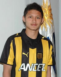 Pemain Bola WNI ( ASLI / NO BLASTERAN ) yang pernah / sedang bermain di luar negeri