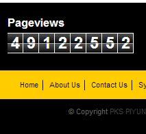 Website PKS Piyungan Memakai Pageviews Palsu