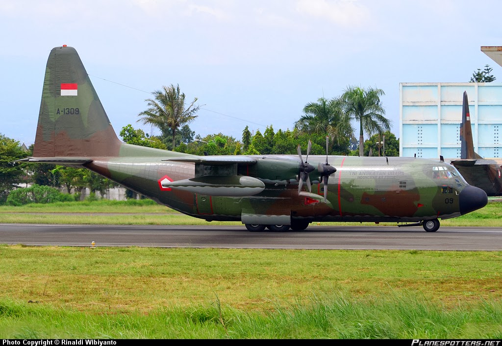 Fakta C 130 Hercules TNI AU