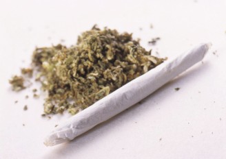 ganja dan bahayanya &#91;share gan&#93;