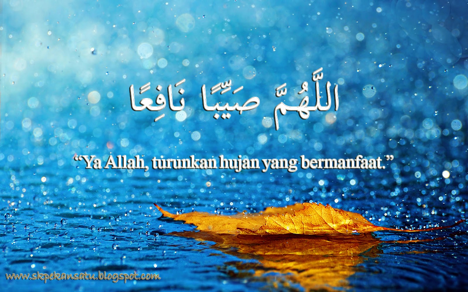 Fakta Menarik tentang Hujan