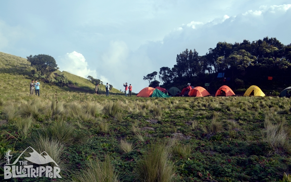 Referensi Catatan Perjalanan Gunung Merbabu