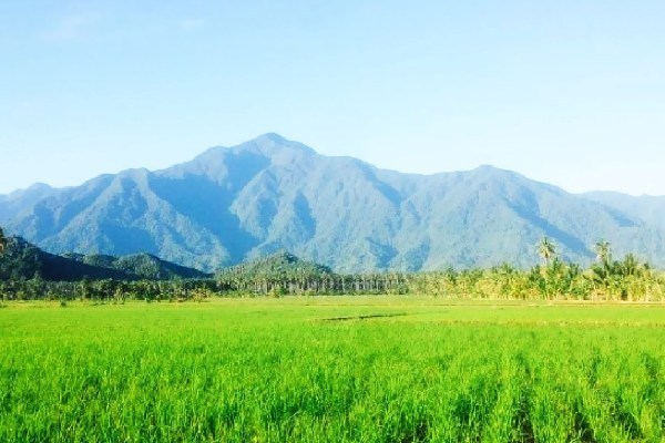 10 GUNUNG PALING POPULER DI SULAWESI TENGAH