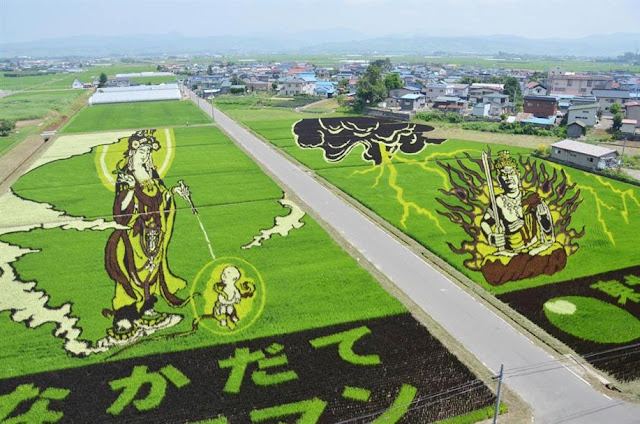 Tanbo Art, Seni Melukis di Atas Sawah Jepang