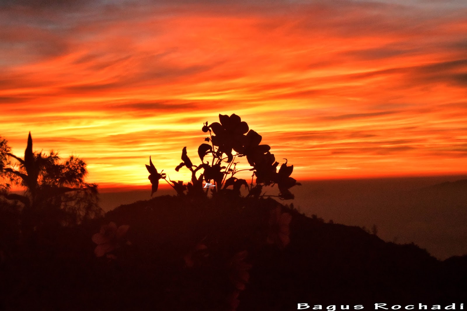 GUNUNG BROMO