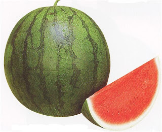 Manfaat dari Buah Semangka