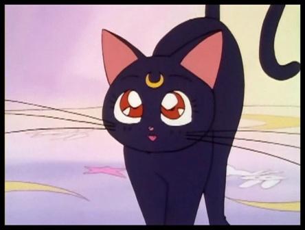 Nonton Sailormoon di Indosiar Jam 5 Pagi