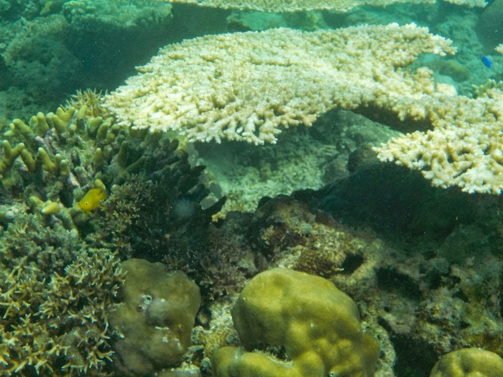 Teluk Biru, Surga Tersembunyi di Banyuwangi