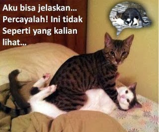 Lagi bete gan, masuk sini !!