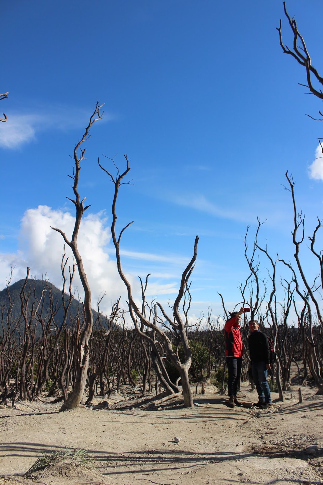 Gunung Papandayan, Gunung dengan Berbagai Alternatif ...