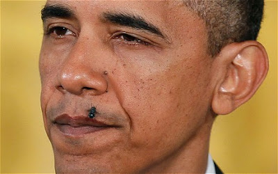 Wajah Obama di Hinggapi Lalat Saat Berpidato