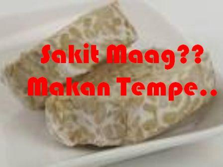 FAKTA MAKNYUS tentang TEMPEH