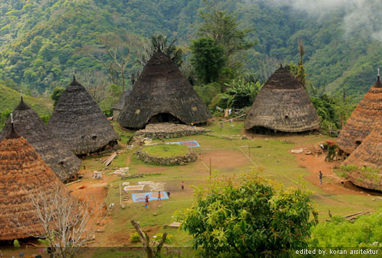 Rumah Adat Terunik se-Indonesia Ada di Flores