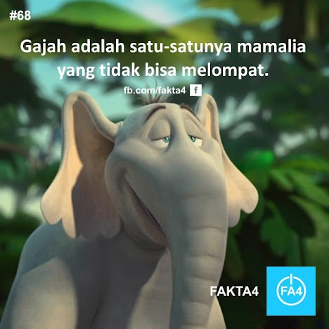Some About Fact!