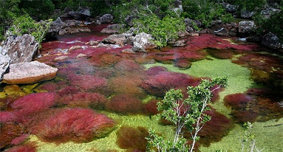 Sungai Paling Warna-Warni