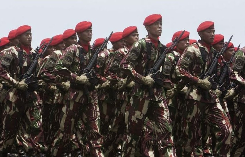 Unjuk Kekuatan Tempur dalam HUT Ke-69 TNI