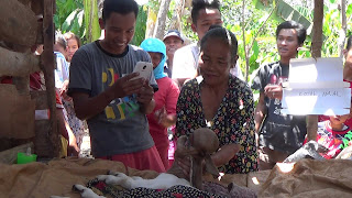 Kambing Berkepala Mirip Manusia Lahir Di Batang